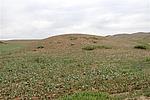 ʮ1
