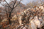 赤霞峪长城13段